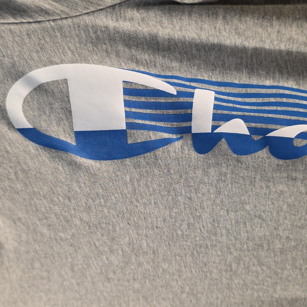 Champion Boy's Short Sleeve 18/20 Grey T Shirt With Logo Print On Front - Picture 2 of 6